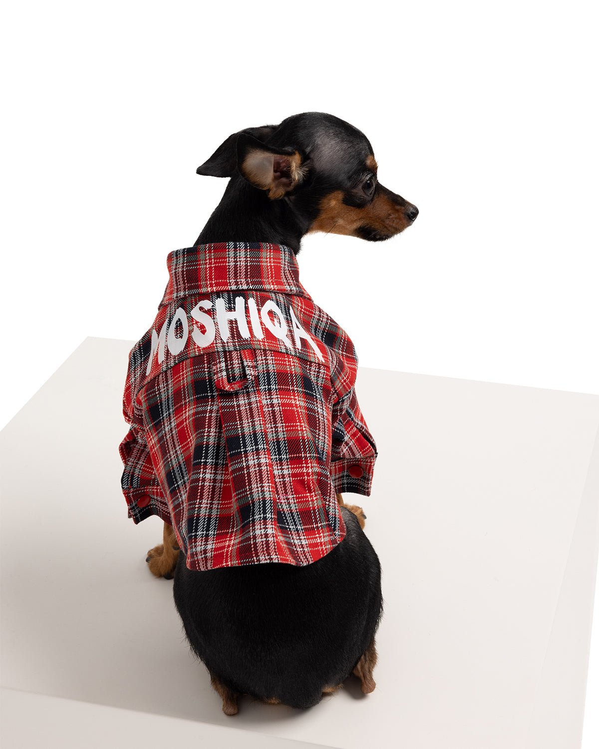 Johnny Dog Shirt - Moshiqa Store