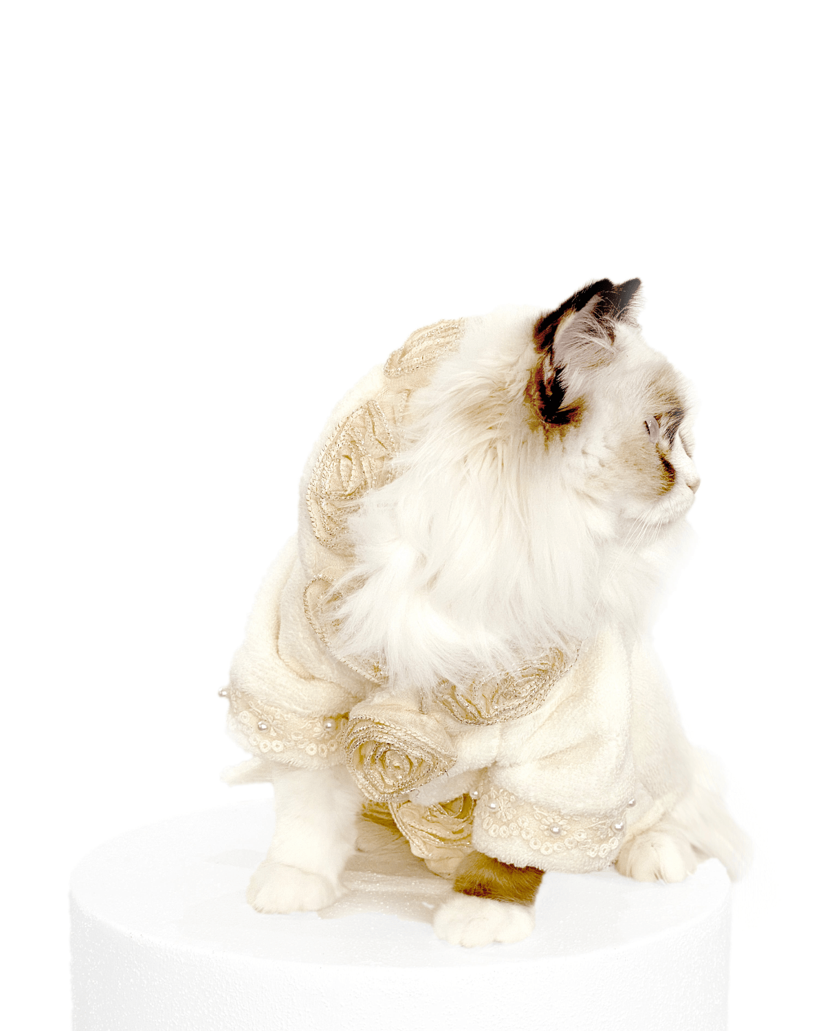 Juliet Cat Bathrobe - Moshiqa Store