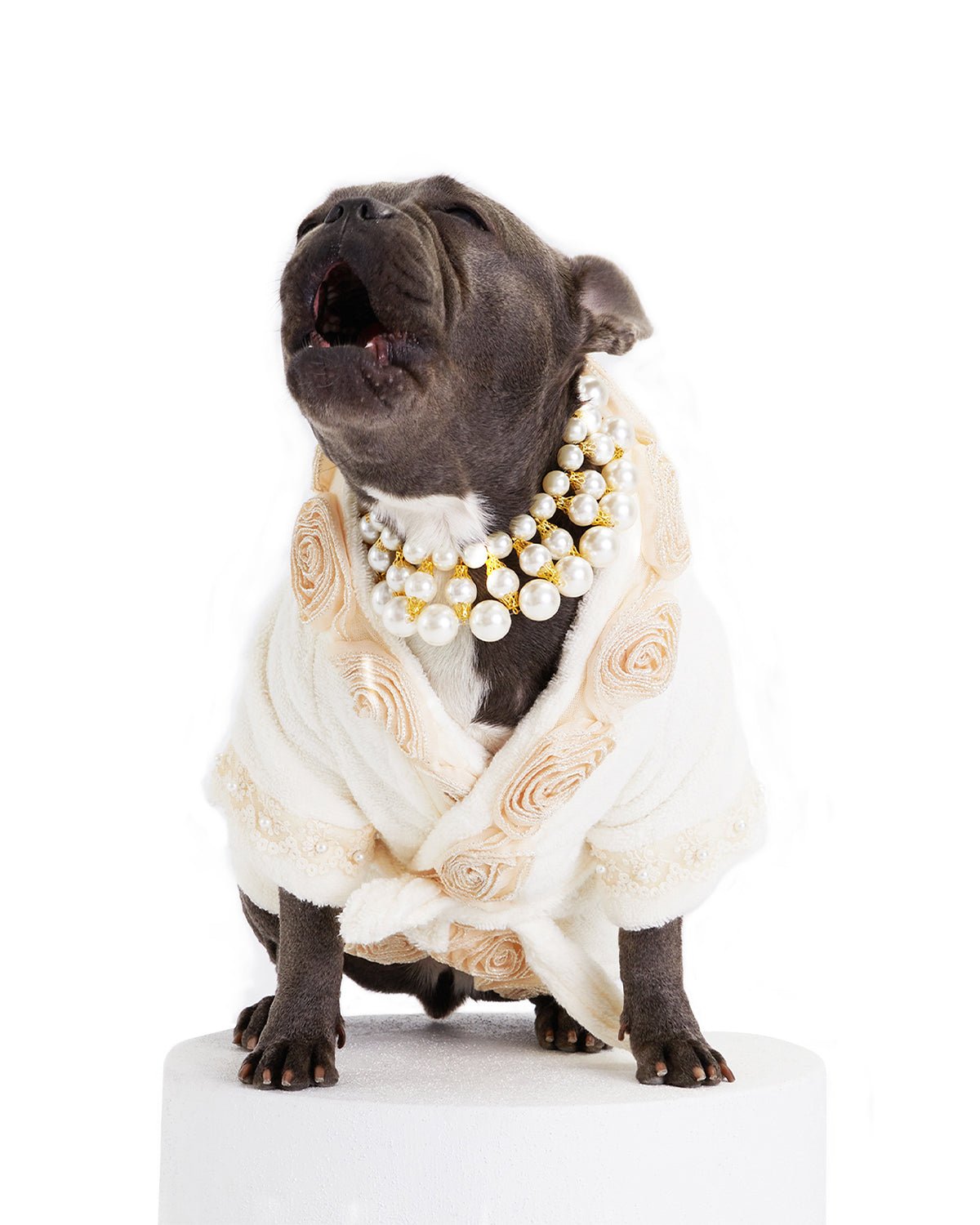 Juliet Dog Luxurious Bathrobe - Moshiqa Store