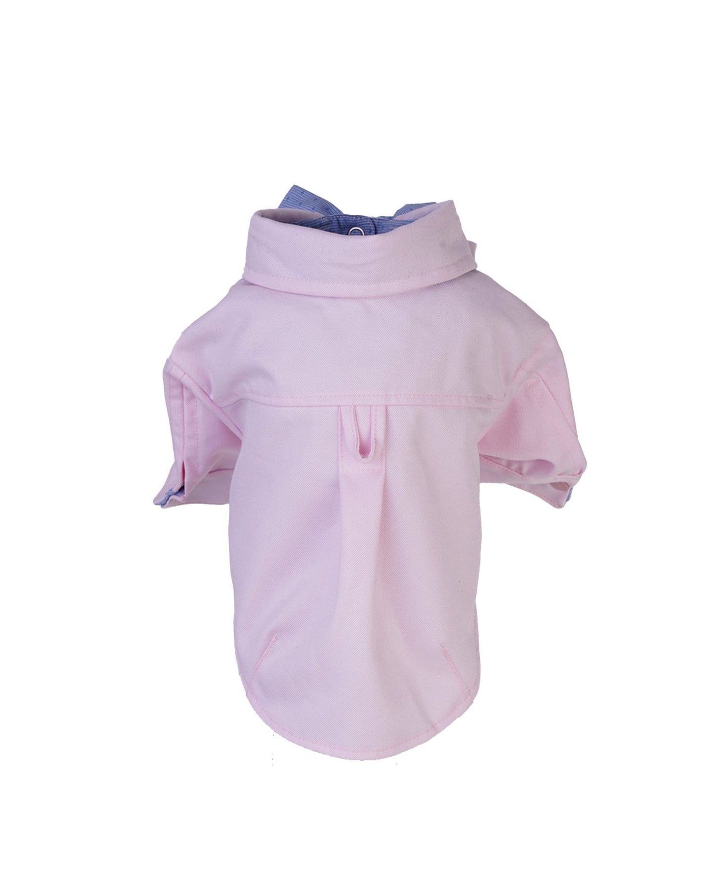 Le Messa Cat Shirt - Moshiqa Store