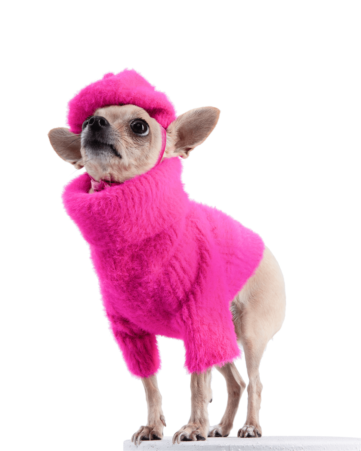 Loves It Dog Sweater & Hat - Moshiqa Store