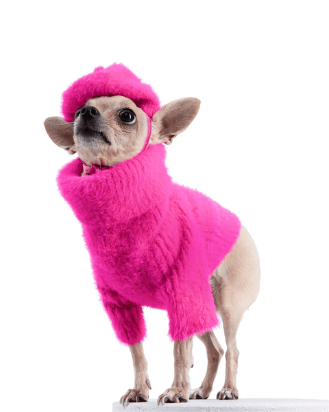 loves-it-dog-sweater-hat-