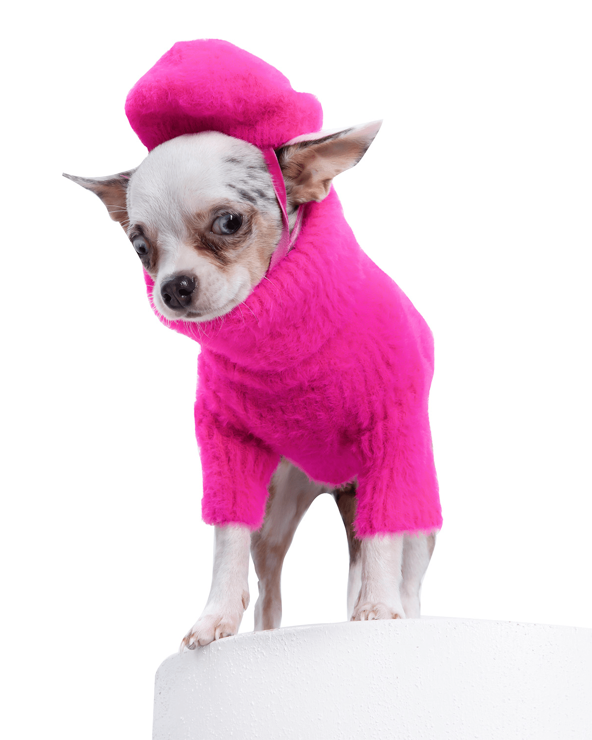 Loves It Dog Sweater & Hat - Moshiqa Store
