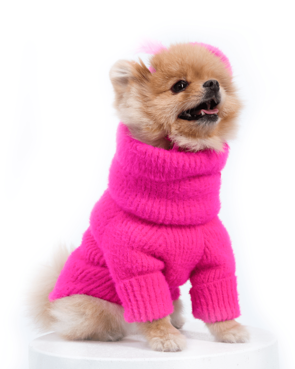 Loves It Dog Sweater & Hat - Moshiqa Store