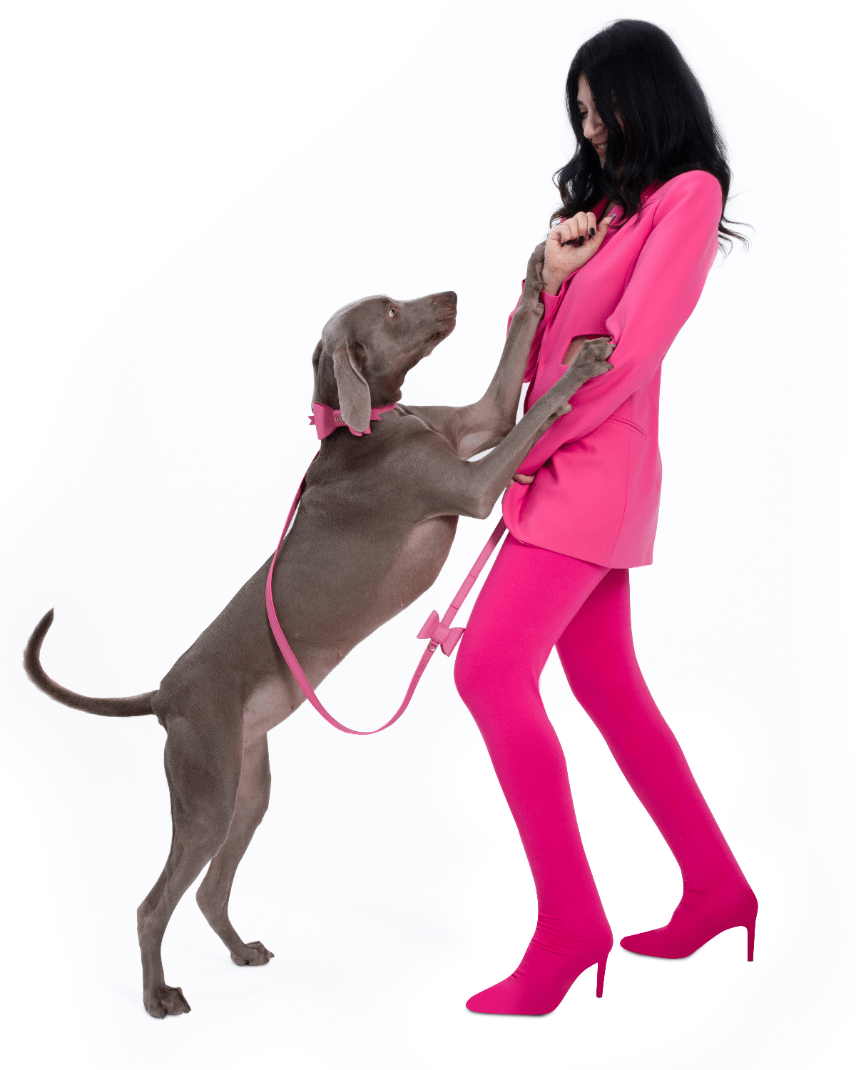 Metapink Bow Dog Collar - Moshiqa Store