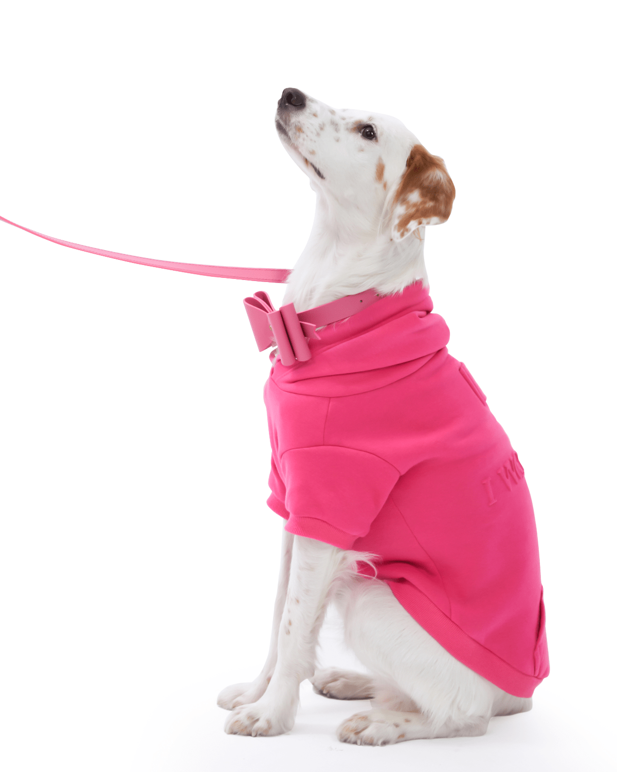 Metapink Bow Dog Collar - Moshiqa Store