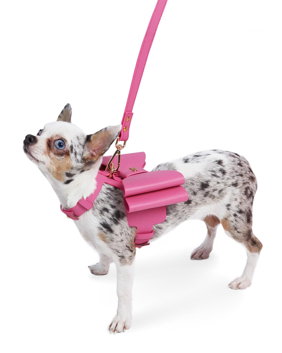 Metapink Bow Dog Harness - Moshiqa Store