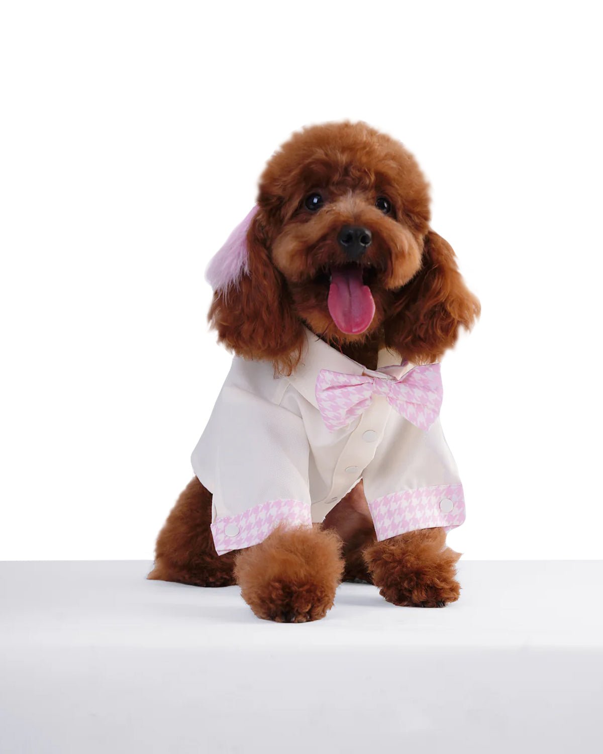 Milky Dog Shirt - Moshiqa Store
