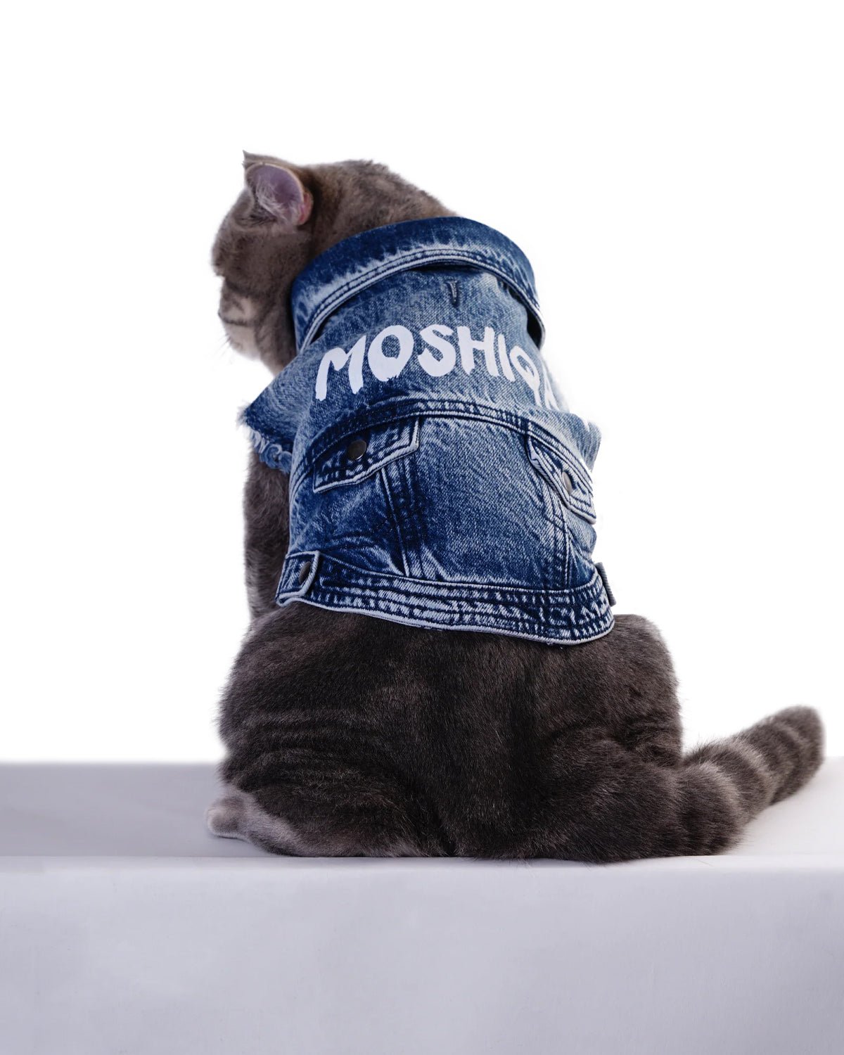 Moshiqa Denim Cat - Moshiqa Store
