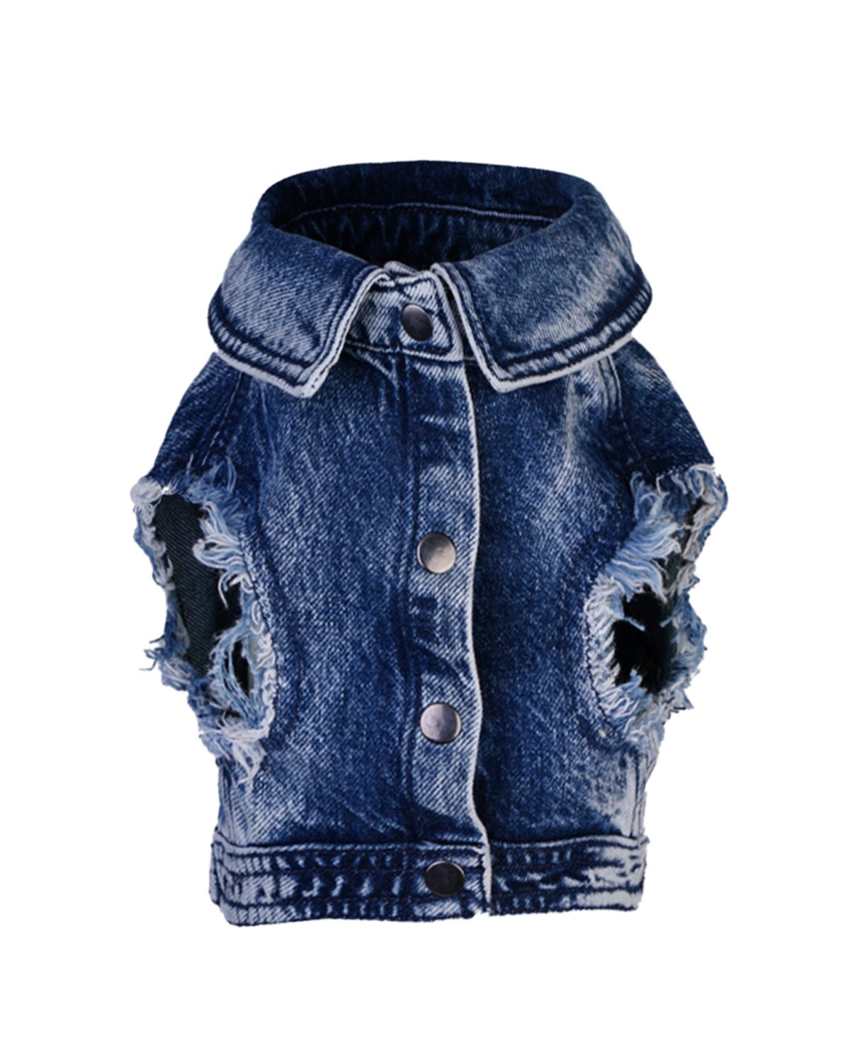 Moshiqa Denim Dog - Moshiqa Store