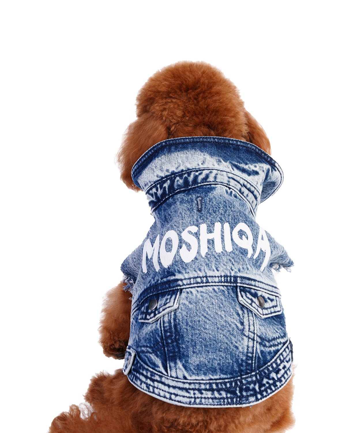 Moshiqa Denim Dog - Moshiqa Store