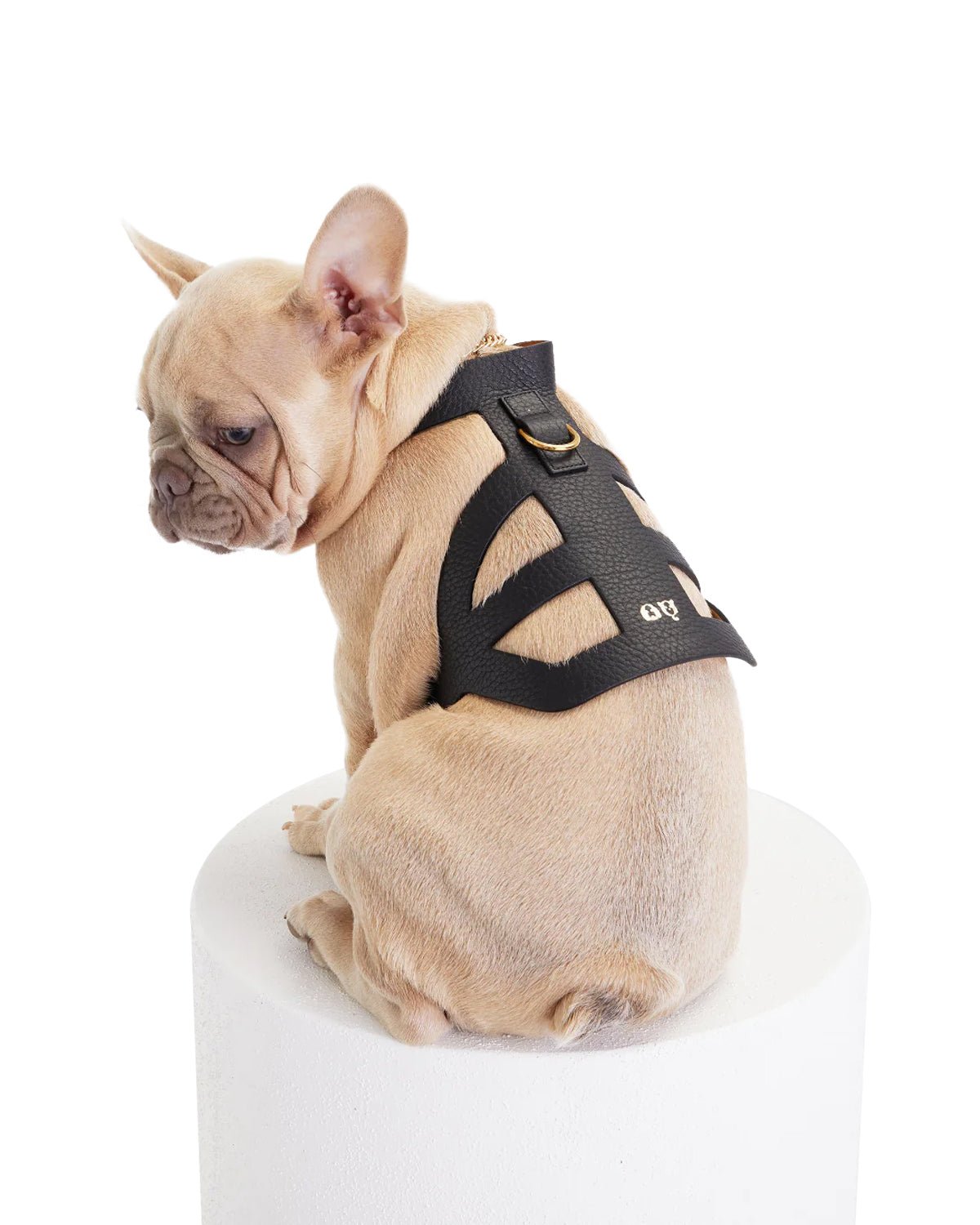 Pierre Dog Harness - Moshiqa Store