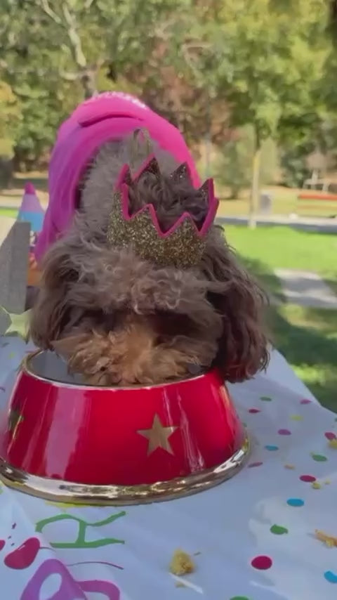 Meta Dog Crown - Stylish Gold Crown for Pets– Moshiqa Store