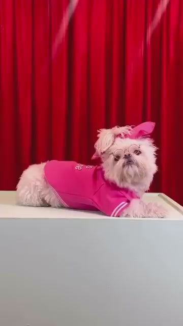 Boss Babe Dog Sweatshirt– Moshiqa Store