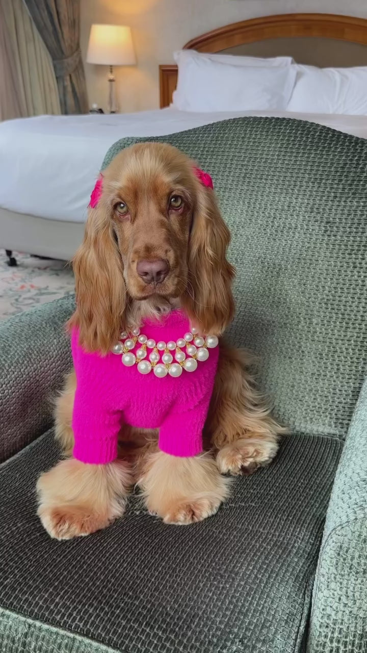 Loves It Dog Sweater & Hat | Paris Hilton × Moshiqa– Moshiqa Store