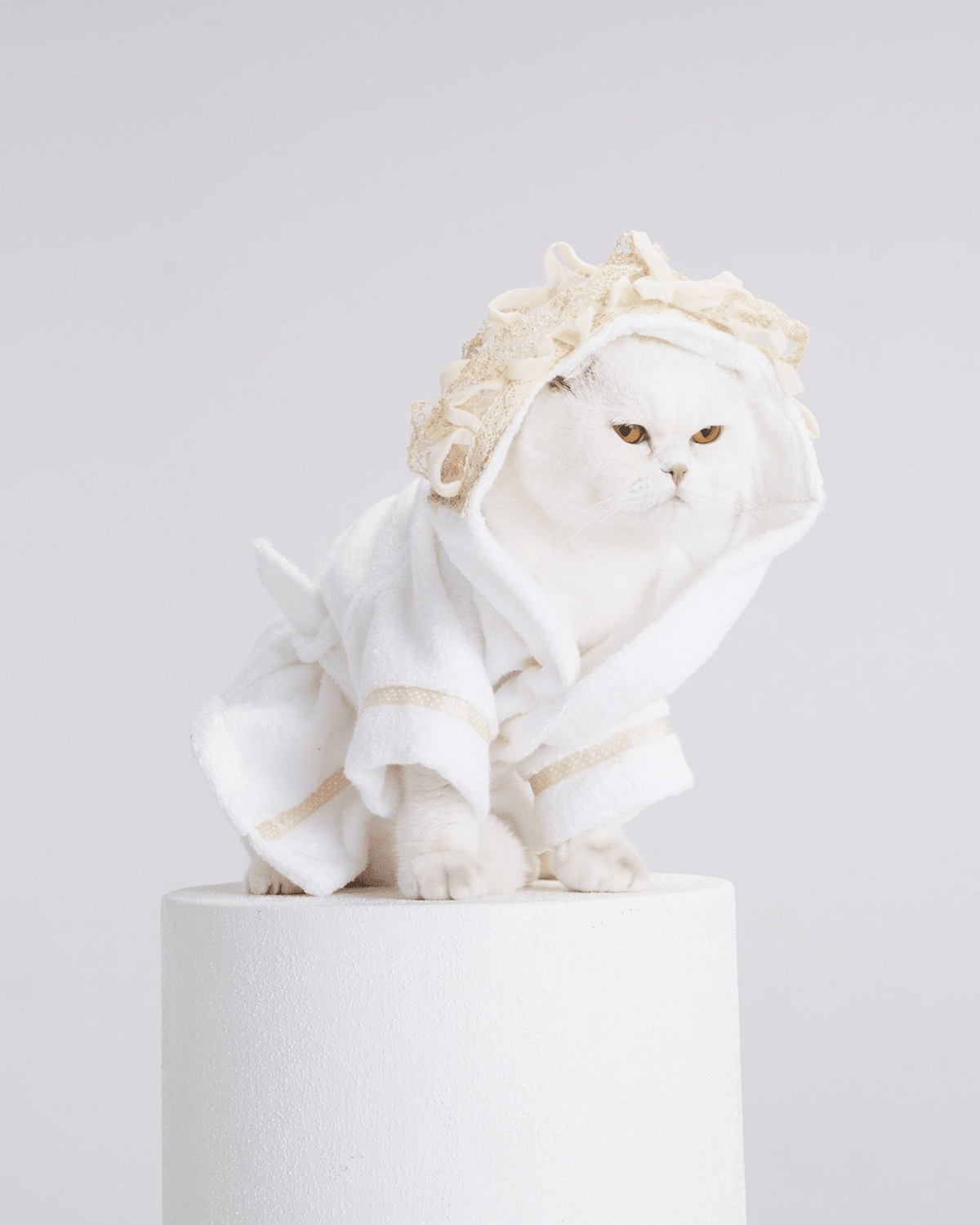 Principessa Cat Bathrobe - Moshiqa Store
