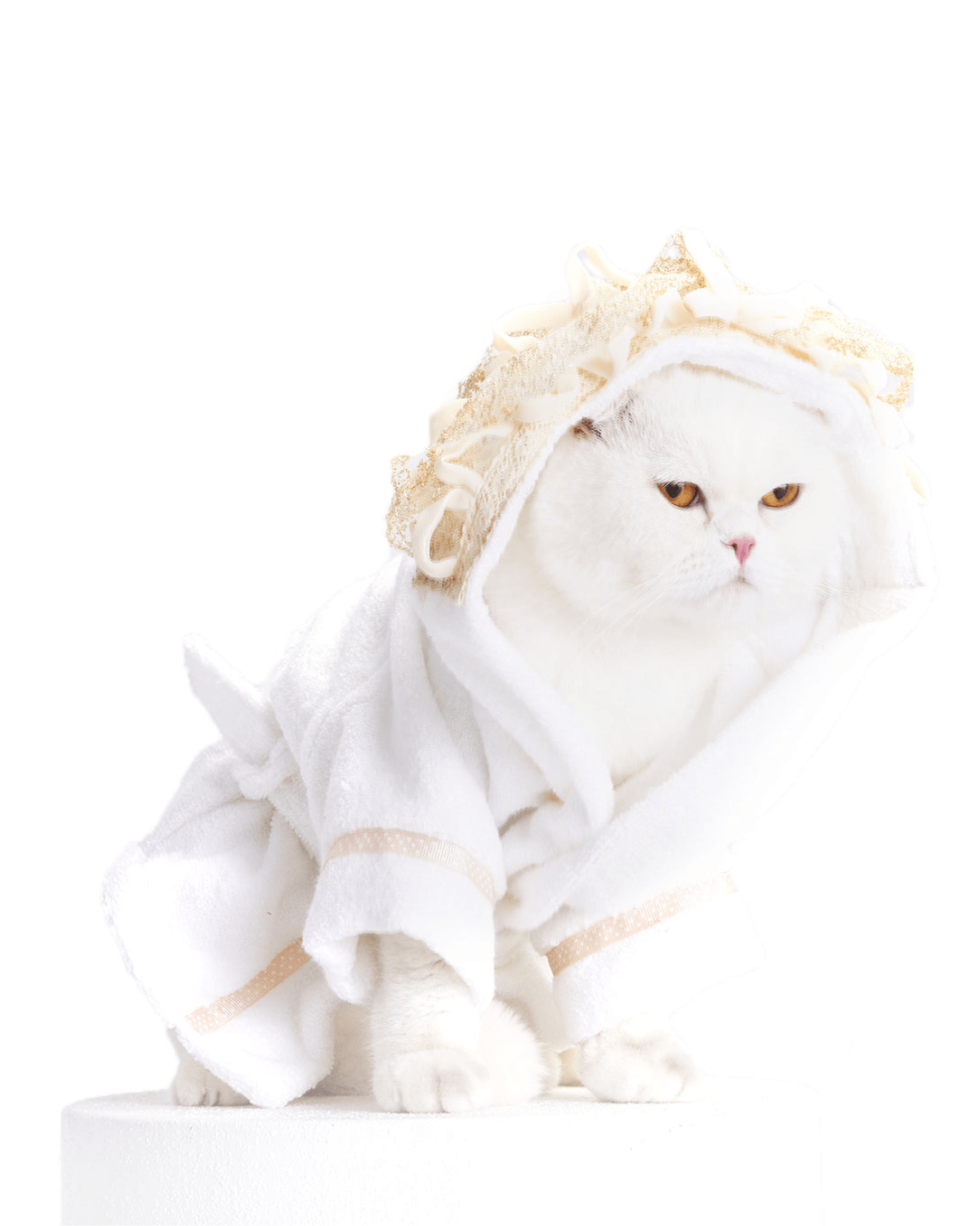 Principessa Cat Bathrobe - Moshiqa Store