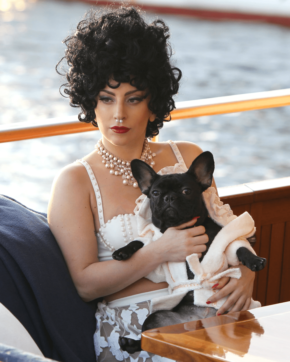 Principessa Dog Bathrobe - Moshiqa Store