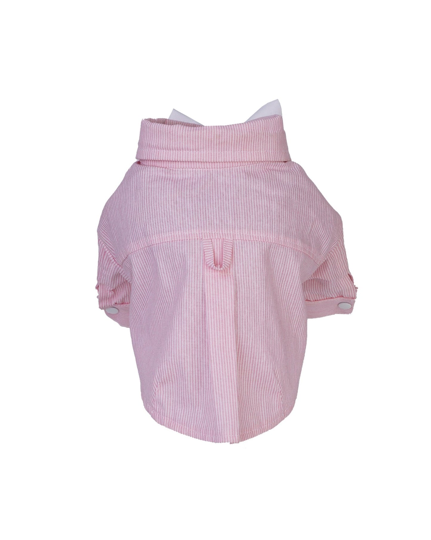 Splash Berry Cat Shirt - Moshiqa Store