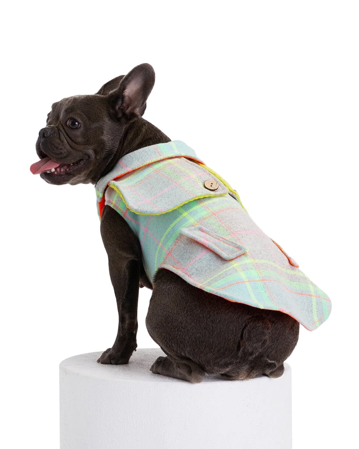Tartan Dog Coat - Moshiqa Store