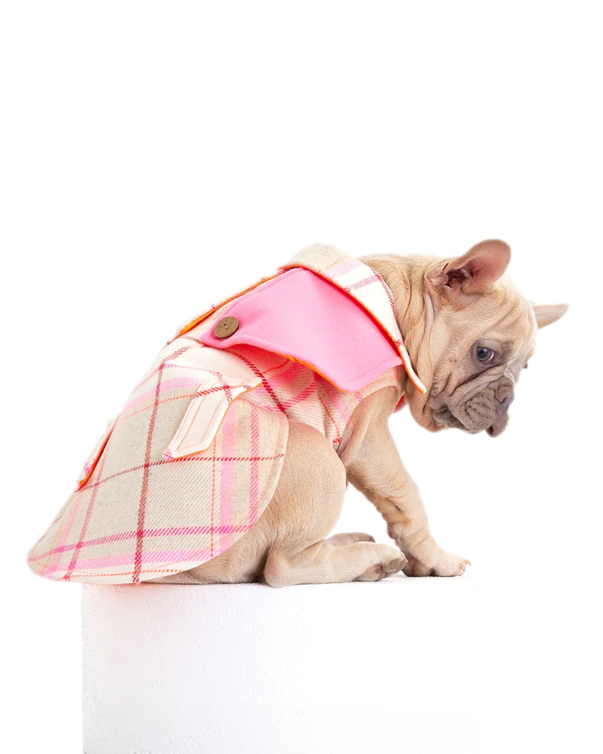 Tartan Dog Coat - Moshiqa Store