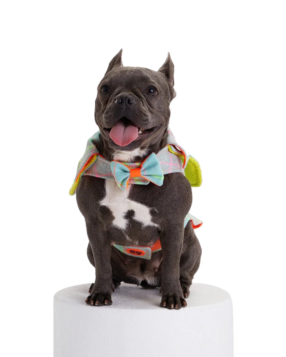 Tartan Dog Coat - Moshiqa Store