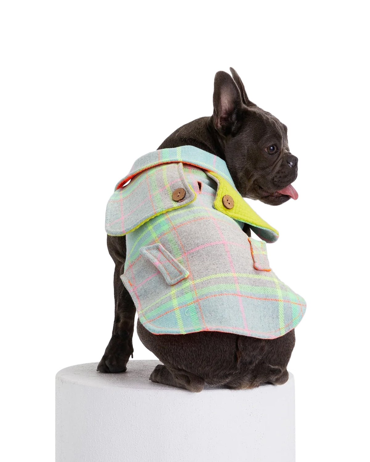 Tartan Dog Coat - Moshiqa Store