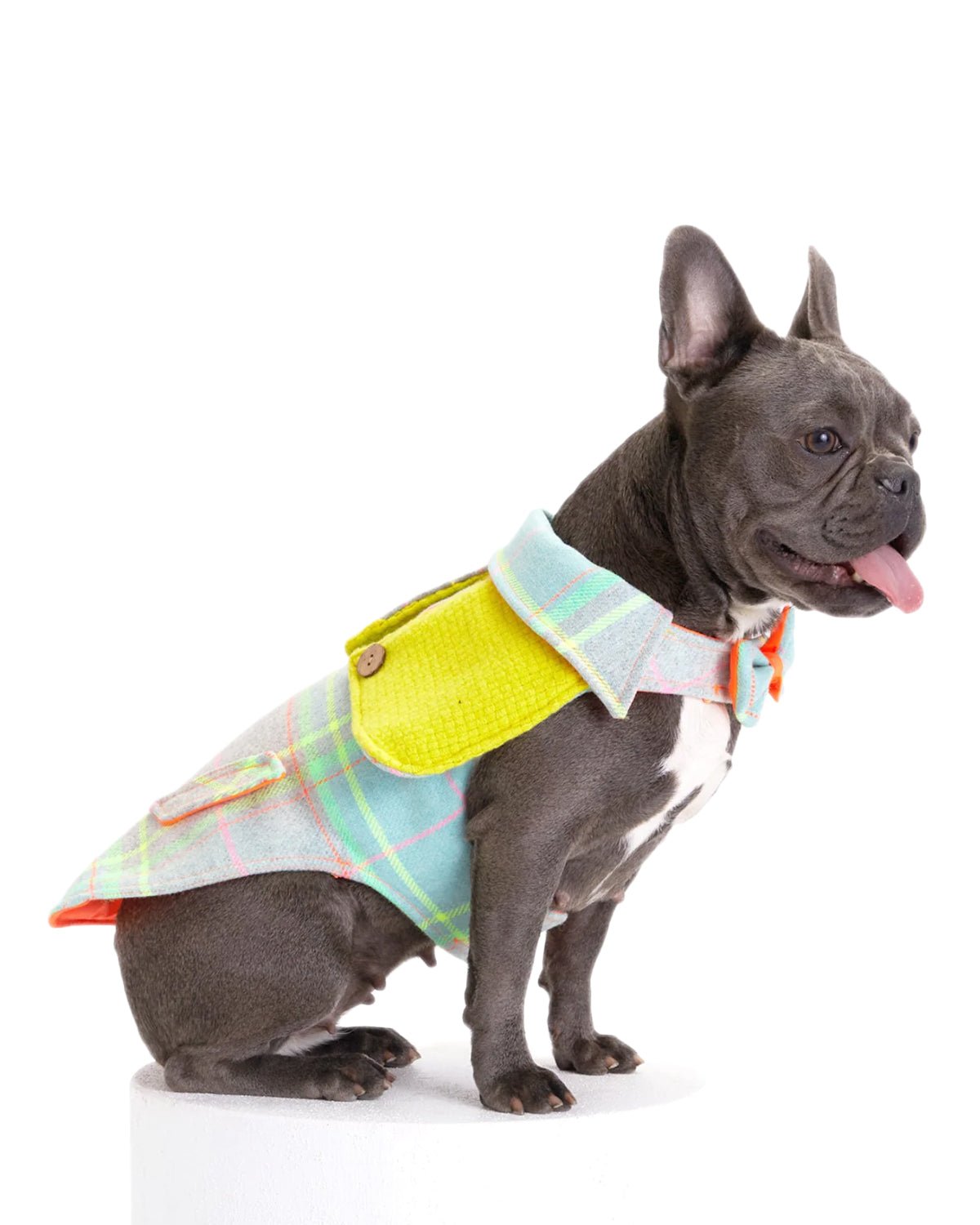 Tartan Dog Coat - Moshiqa Store
