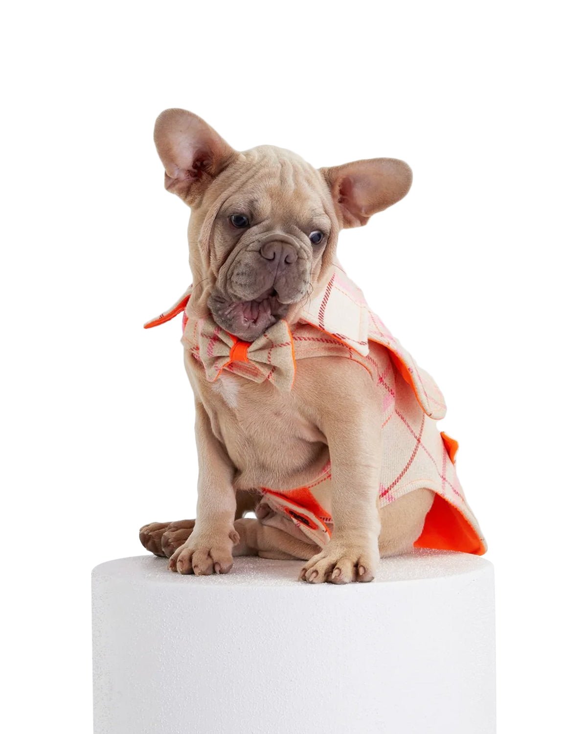 Tartan Dog Coat - Moshiqa Store