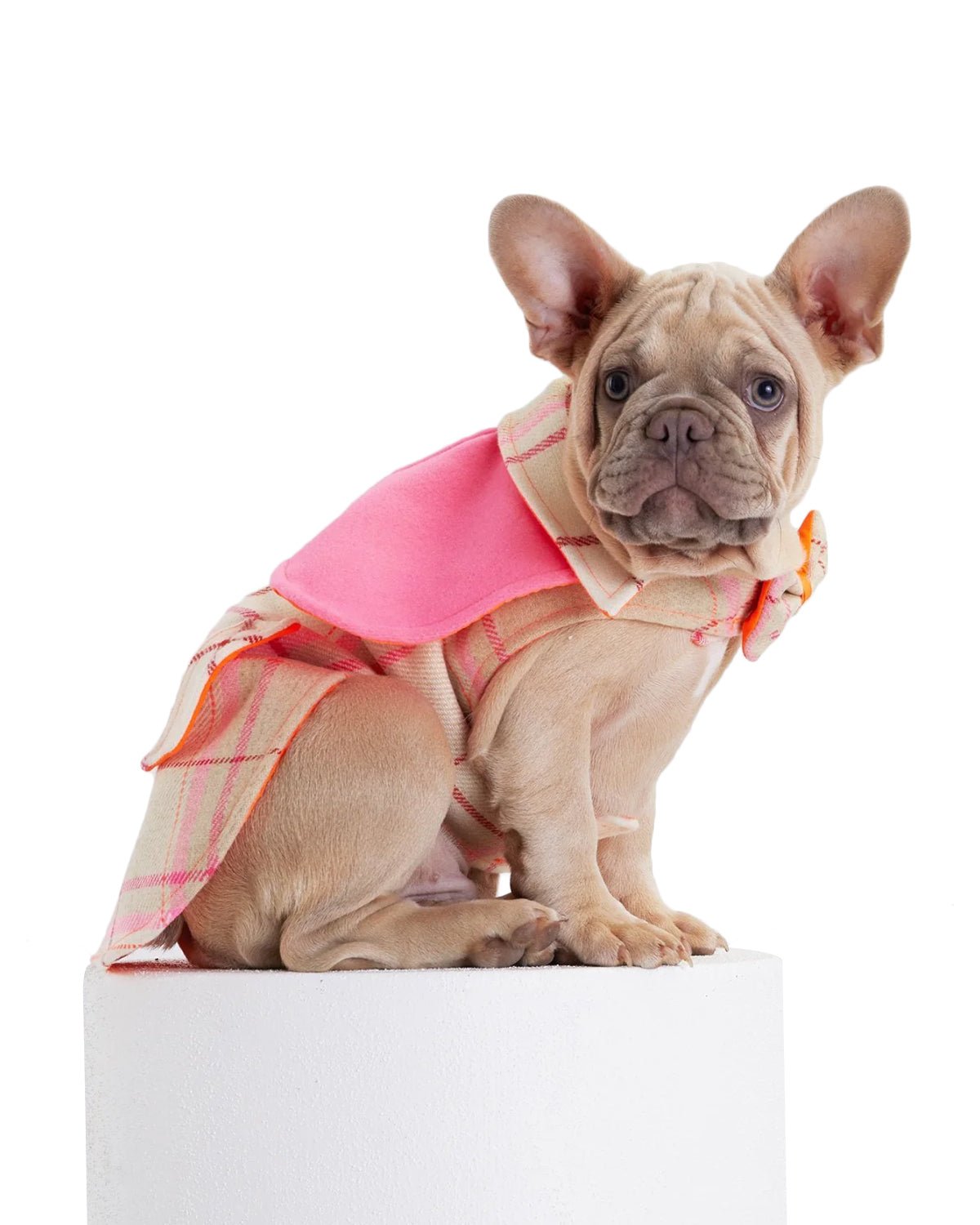 Tartan Dog Coat - Moshiqa Store