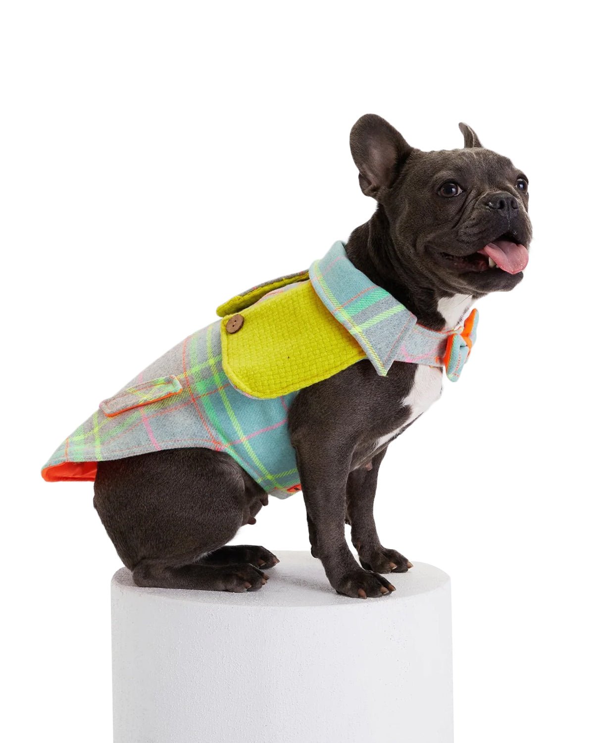 Tartan Dog Coat - Moshiqa Store
