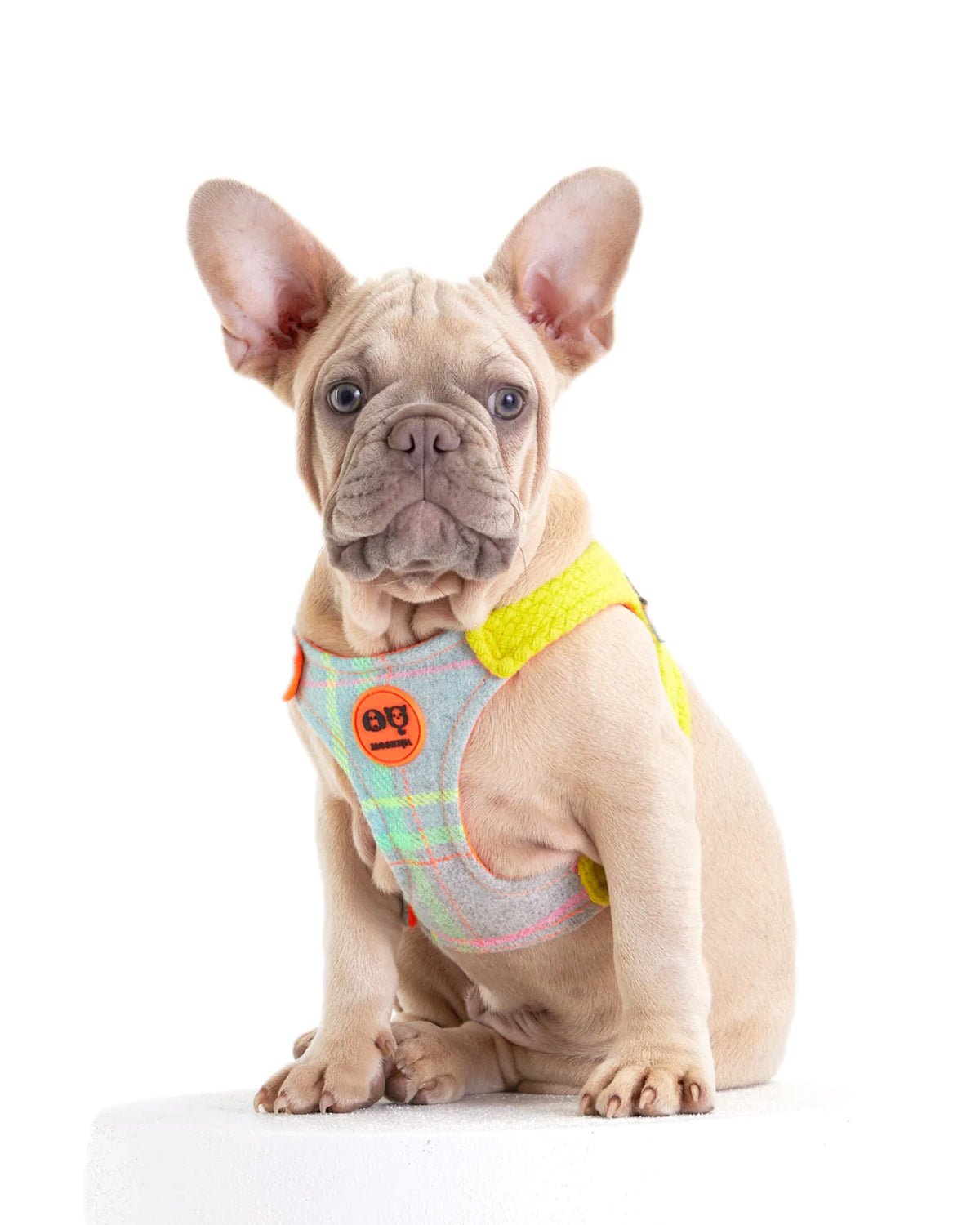 Tartan Dog Harness - Moshiqa Store
