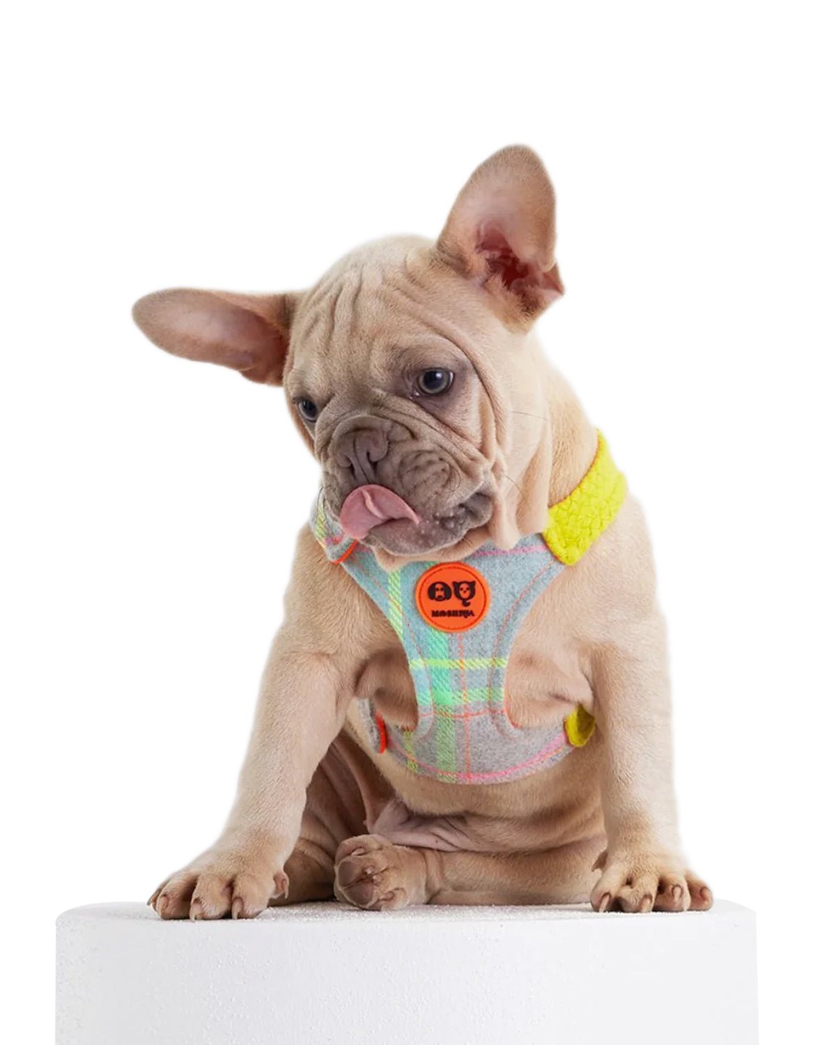Tartan Dog Harness - Moshiqa Store