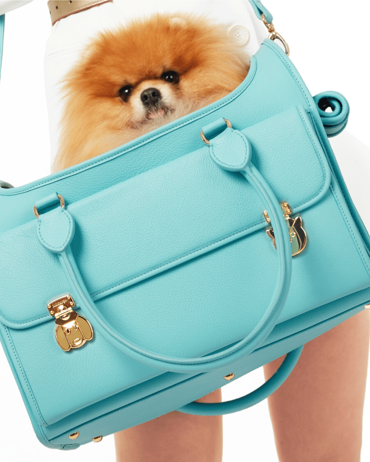 Wonder Nest Dog Travel Bag - Moshiqa Store