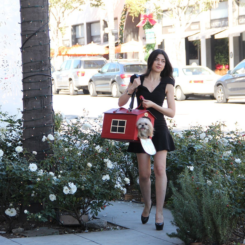 Home Dog Carrier - Christian Cowan - Moshiqa Store