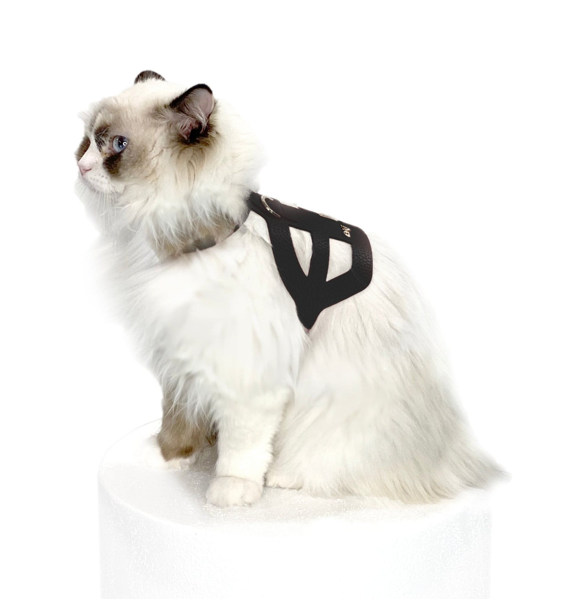 Pierre Cat Harness - Moshiqa Store