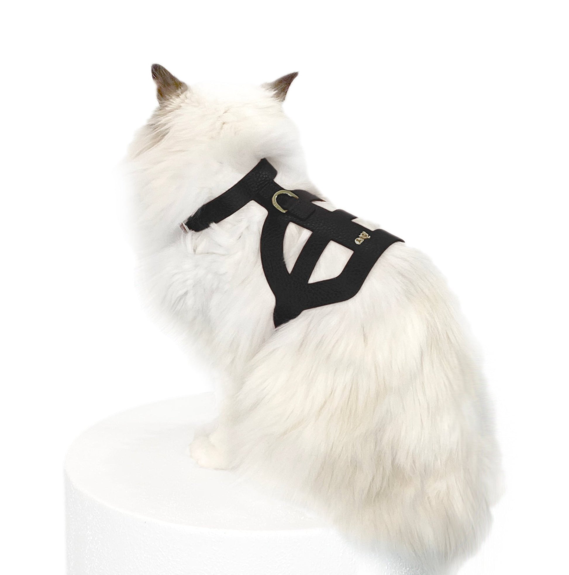 Pierre Cat Harness - Moshiqa Store